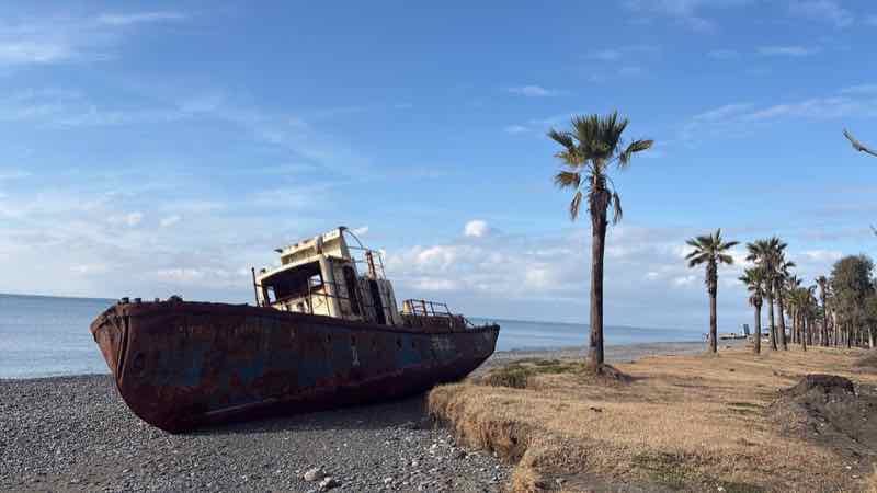 Altes Schiffswrack am Strand mit Palmen